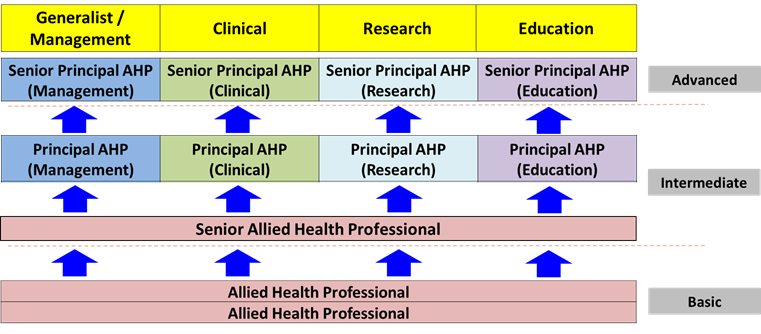 AHP Career track.png