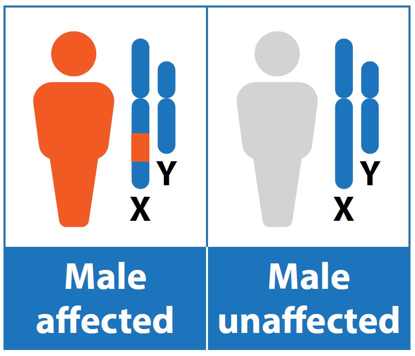 X-linked IRDs 