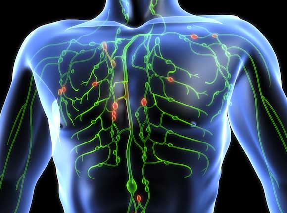 lymphatic system affected by lymphoma